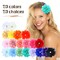 20 Pack 9cm /3.5" Chiffon Flower Alligator Hair Clips Lined Duckbill Barrettes Hair Flower